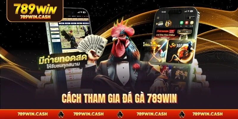 Cách tham gia đá gà 789WIN
