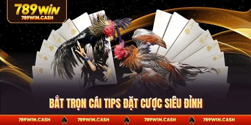 Bắt trọn các tips đặt cược siêu đỉnh