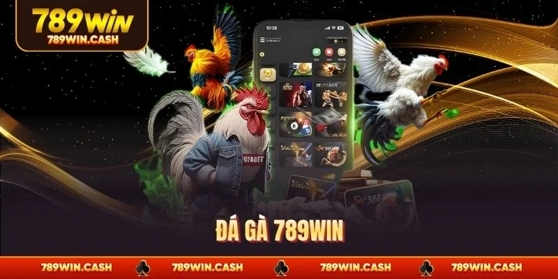 Đá gà 789WIN