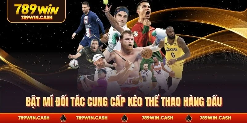 Bật mí đối tác cung cấp kèo thể thao hàng đầu