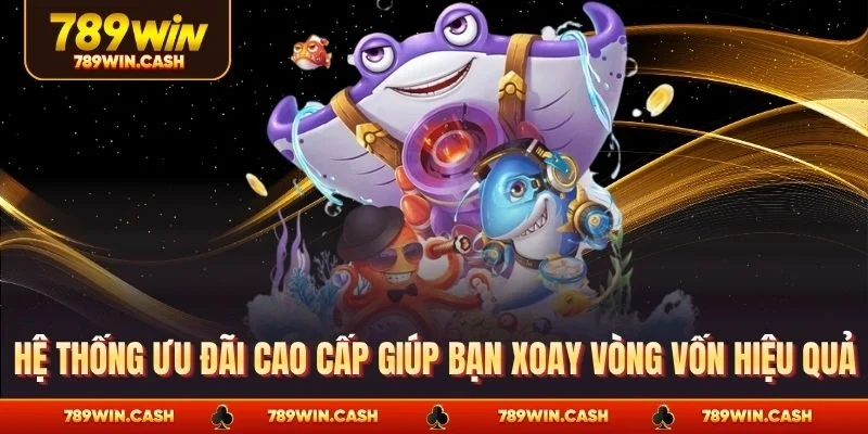 Hệ thống ưu đãi cao cấp giúp bạn xoay vòng vốn hiệu quả 
